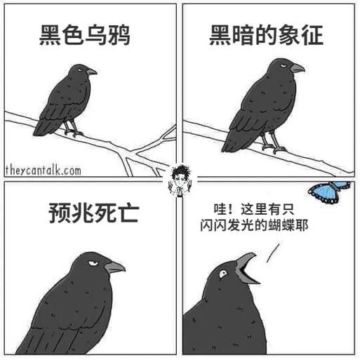 乌鸦坐飞机下一句爆笑接梗挑战你的脑洞