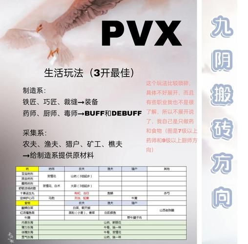 九阴真经主线任务流程详解 从入门到精通指南