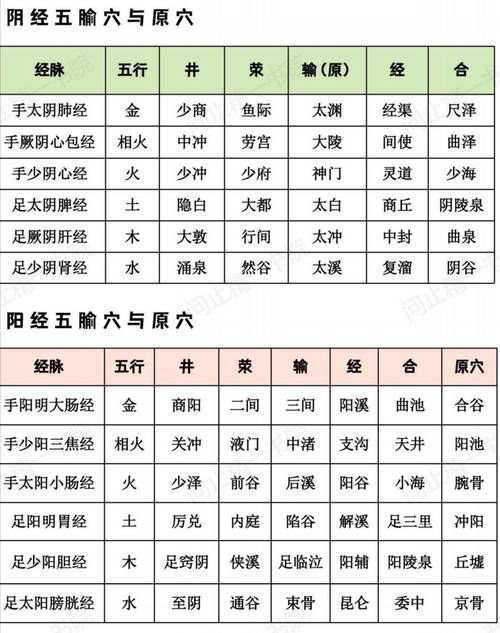 九阴真经主线任务流程详解 从入门到精通指南