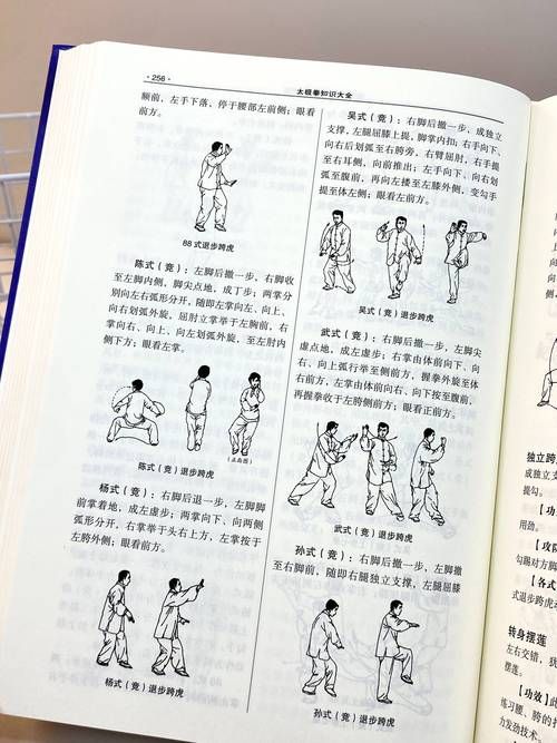九阴真经内功修炼步骤详解 从基础到高手的修炼之路