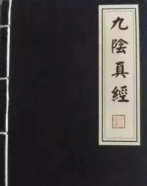 九阴真经易容下山难点在哪 高手教你轻松过关