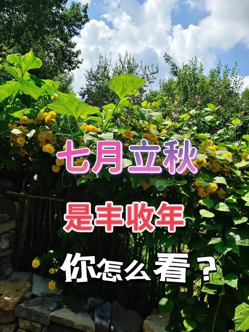 今天什么时候立秋2023年立秋具体时间一览