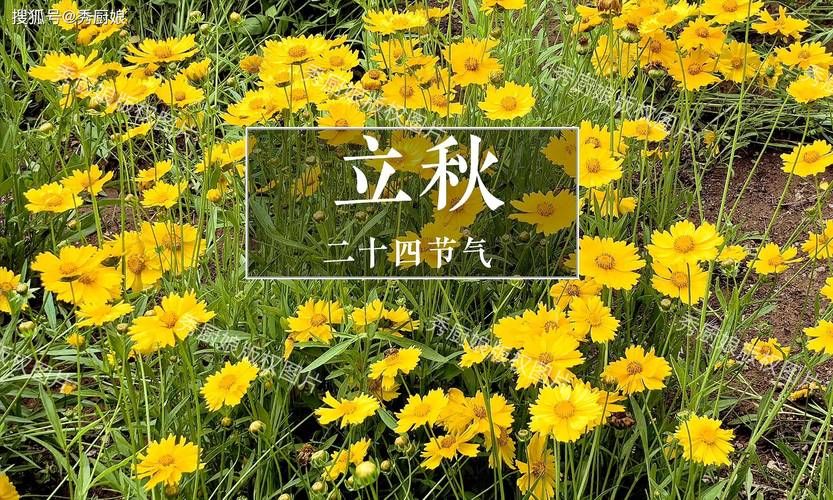 今天几点几分立秋 立秋节气准确时间查询方法