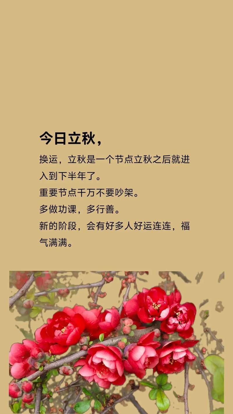 今天几点立秋时间2024年立秋时刻表来了