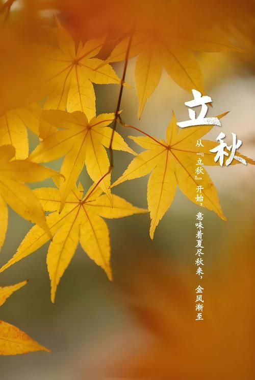 今天几点立秋时间2024年立秋时刻表来了