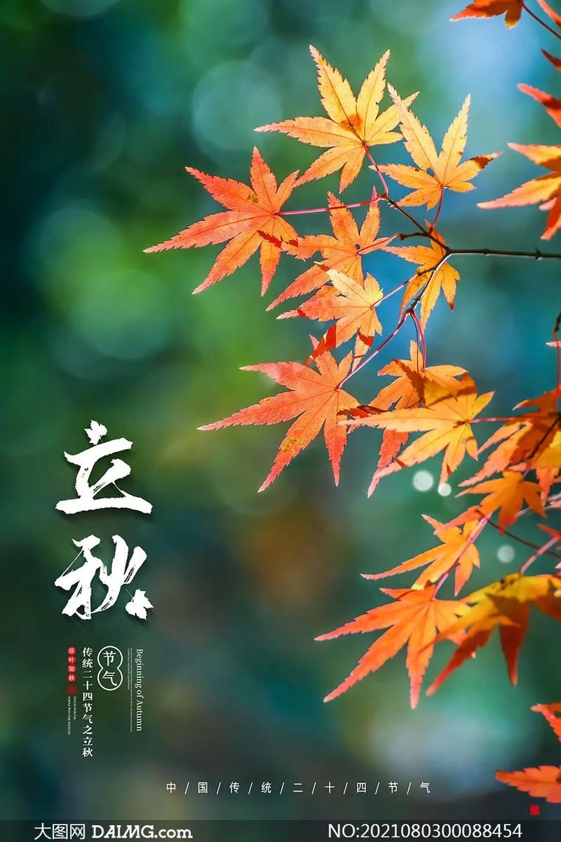 今天几点立秋时间2024年立秋时刻表来了