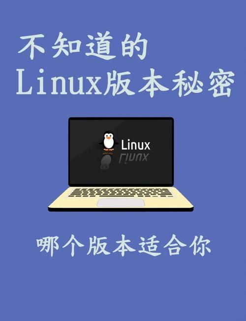 会声会影10.0和11.0对比 哪个版本更适合你