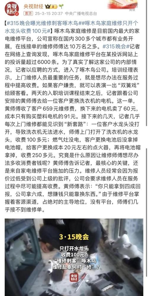 315曝光企业名单出炉这些公司被点名批评