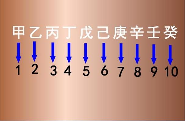 421到底是什么 原来它隐藏着这样的秘密