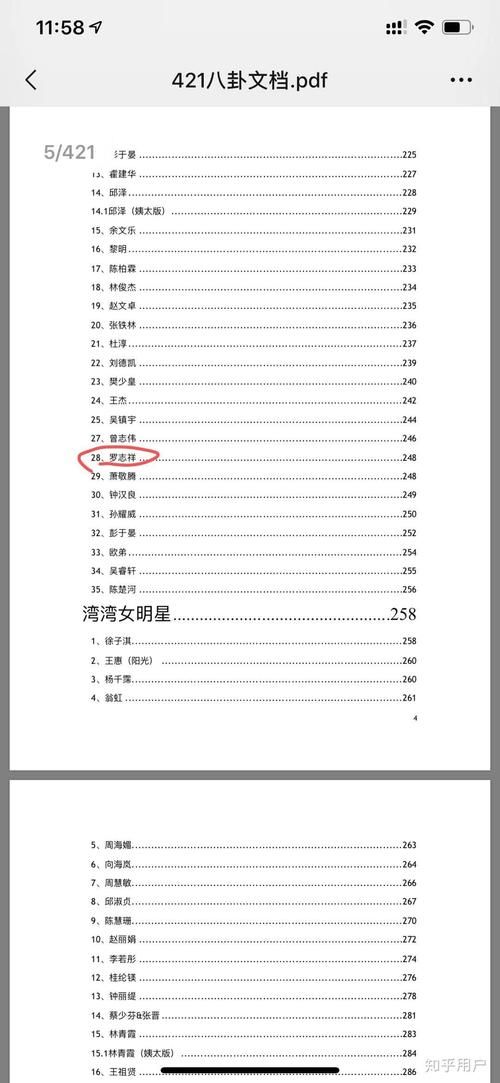 421页pdf截图完整版 这份文件到底说了啥