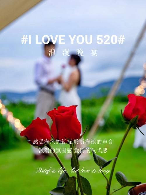 520必备浪漫图片 轻松打造甜蜜氛围
