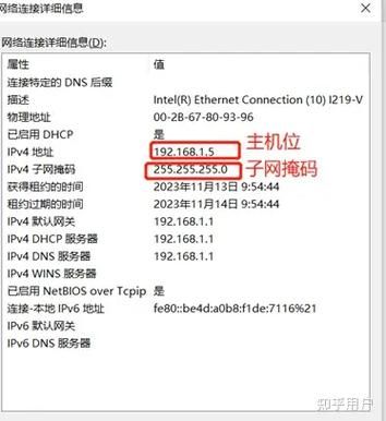55677.com是什么网站 这个网址能打开吗