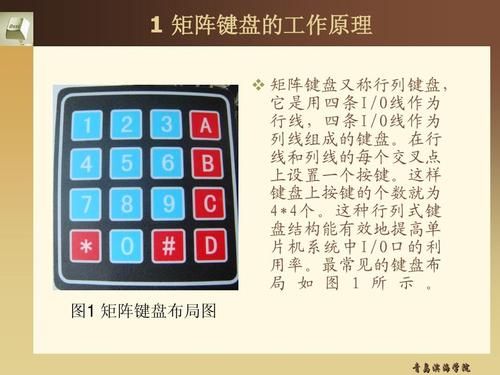 5x5行列式计算器免费下载及操作指南