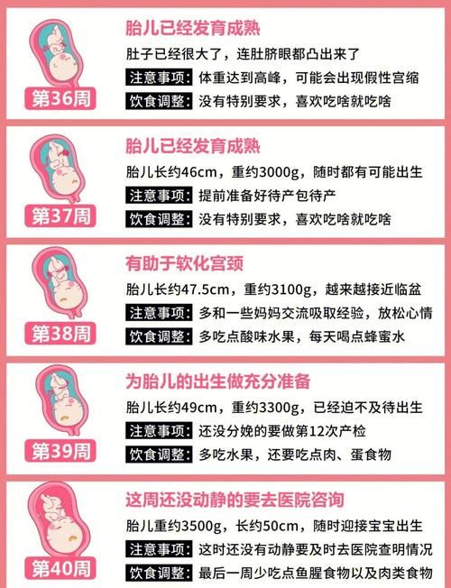 7岁怀孕了该怎么办家长必看的紧急处理指南