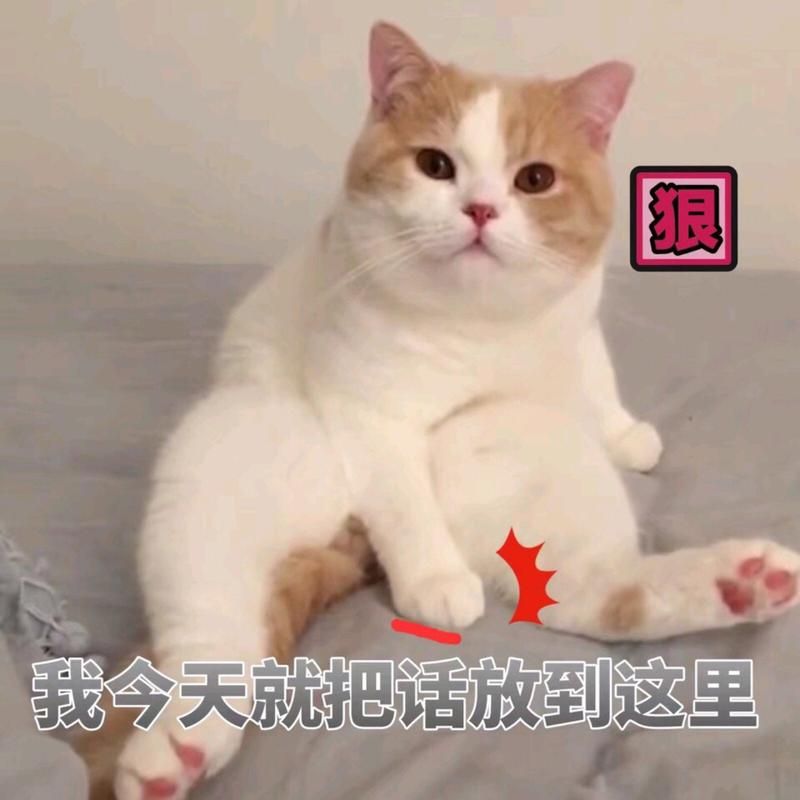98年的我玩不过她 现在的女生段位都这么高吗