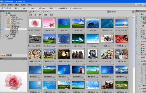 acdsee许可证到期怎么办 续费方法与注意事项分享