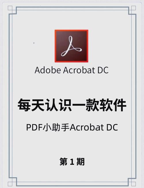 acrobat 5与新版对比 哪个更适合你的需求