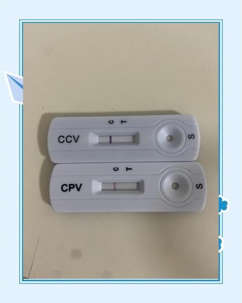 autorun专杀使用方法 简单几步轻松搞定病毒