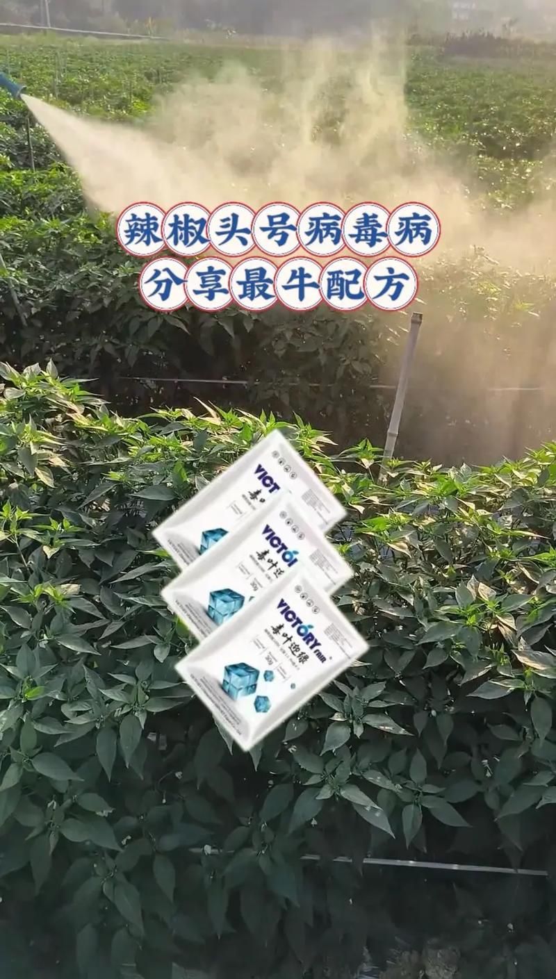 autorun专杀使用方法 简单几步轻松搞定病毒