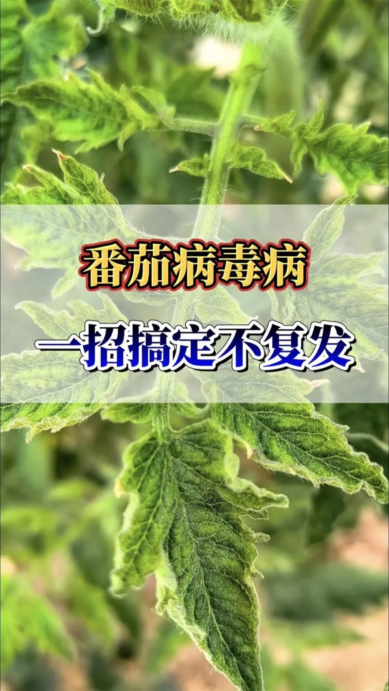 autorun专杀使用方法 简单几步轻松搞定病毒