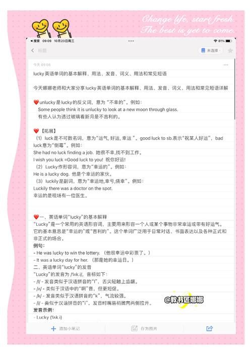 bacchikoi中文翻译是什么 这个词的真实含义揭秘