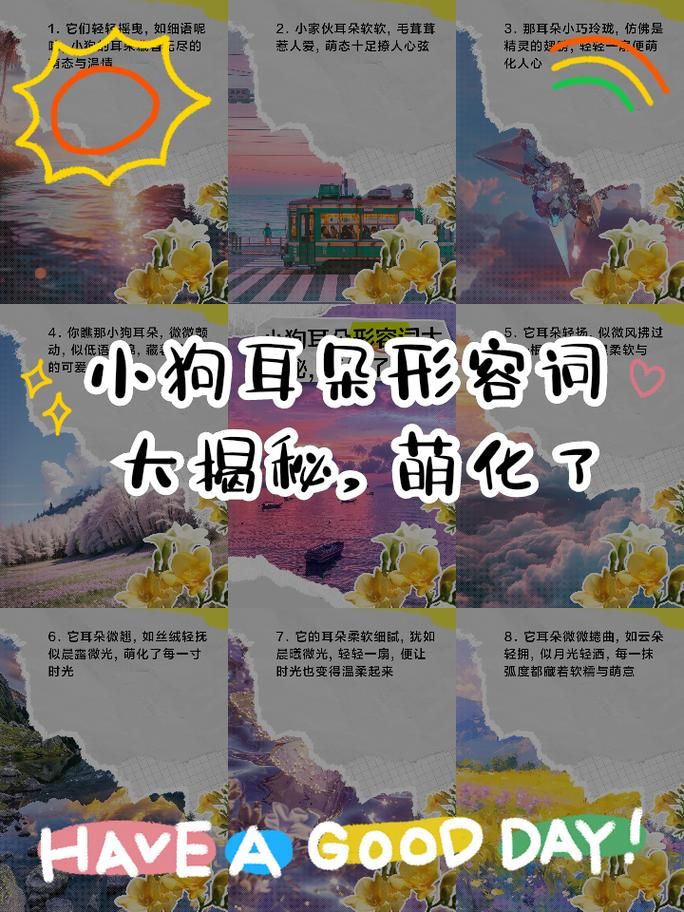 bacchikoi中文翻译是什么 这个词的真实含义揭秘