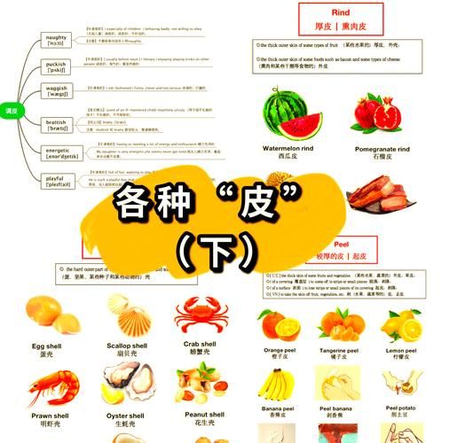 bacchikoi中文翻译是什么 这个词的真实含义揭秘