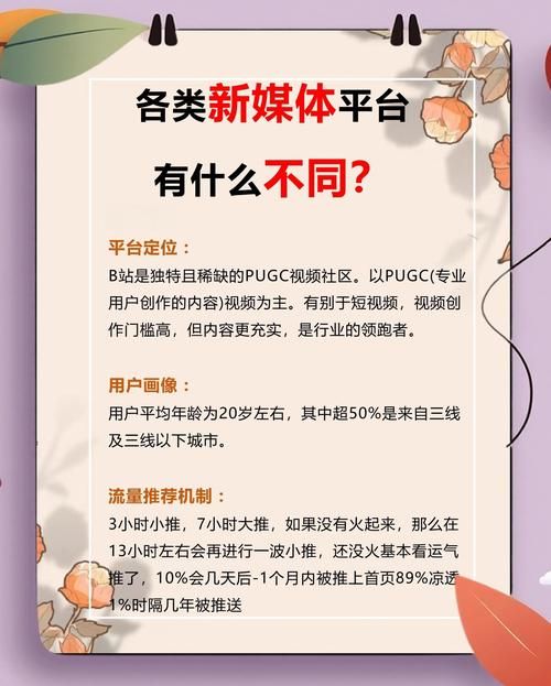 b站为什么叫小破站原来和这个梗有关