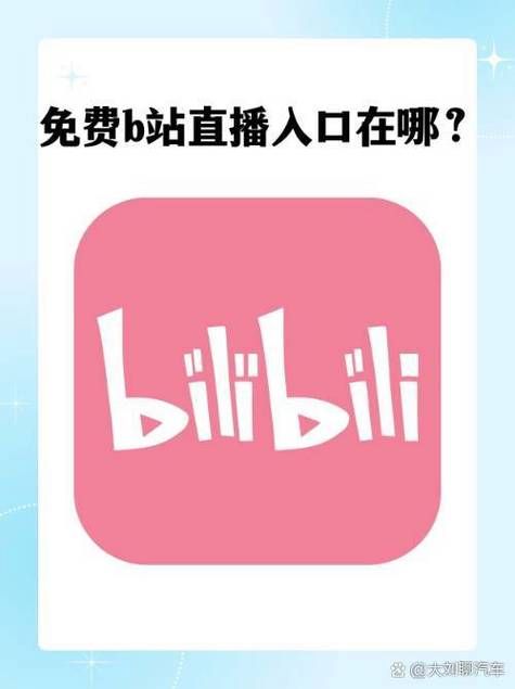 B站在线人数怎么看 这些方法让你一目了然