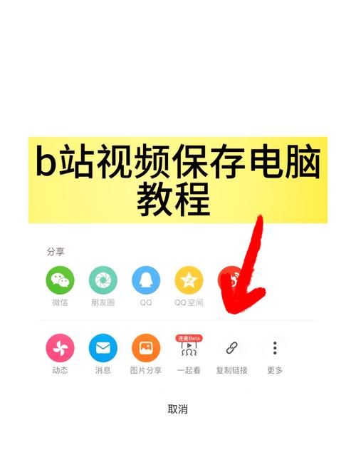 B站在线人数怎么看 这些方法让你一目了然