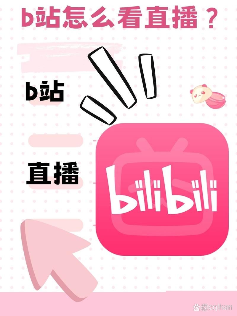 b站直播人数怎么看 详细步骤一看就会