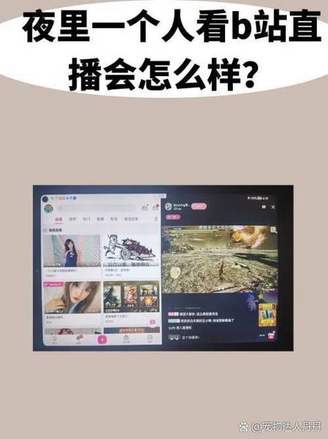 b站直播人数怎么看 详细步骤一看就会