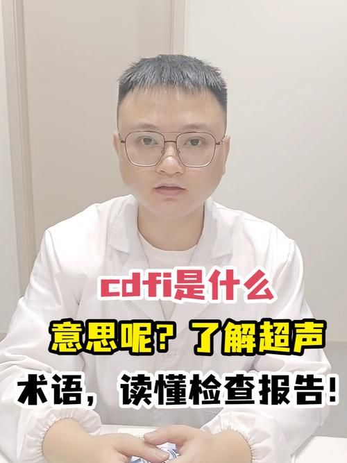 cdfs是什么意思 简单解释这个专业术语