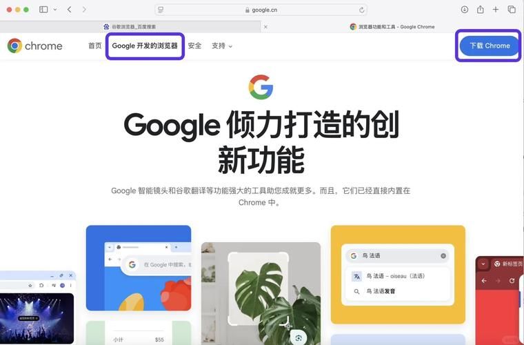 chrome便携版怎么用 教你快速上手免安装浏览器