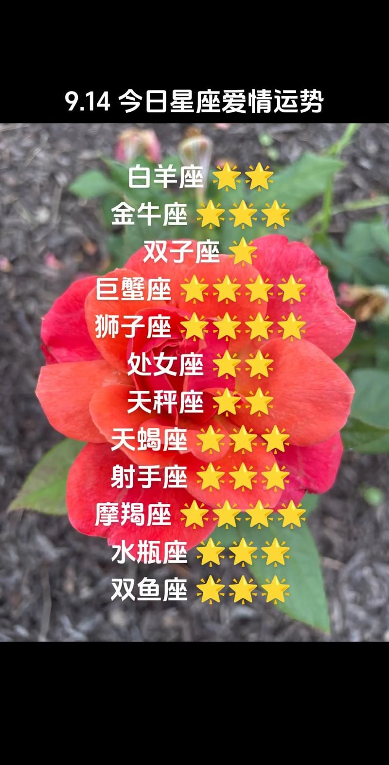 counter星座运势今日你的幸运指数有多高