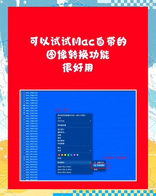 cr2格式怎么打开 教你简单几步轻松搞定