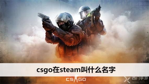csgo全名叫什么 这款游戏的中文名称你知道吗