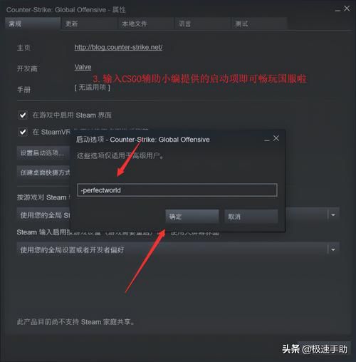 csgo英文启动项详解 告别卡顿的终极设置方法