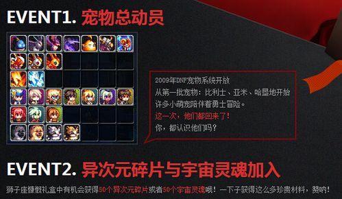 dnf宠物伊尔本值得培养吗实战效果测评