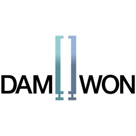 dwg战队为何改名dk 详细解析战队更名始末